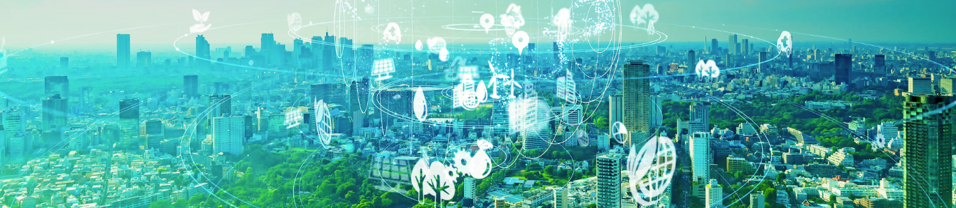 Sustainability Vision