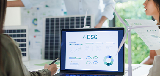 Sustainability Pillar three