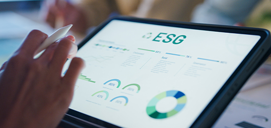 Sustainability Pillar two