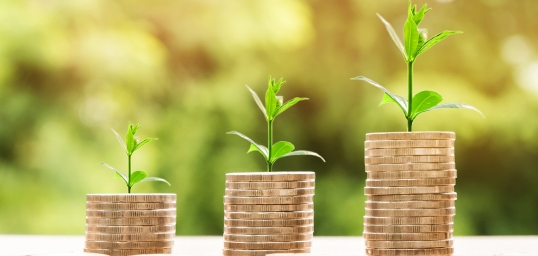 Financial Inclusion Economic Activity account