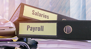 salaries file