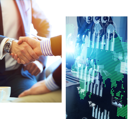 ضمانات محلية ودولية