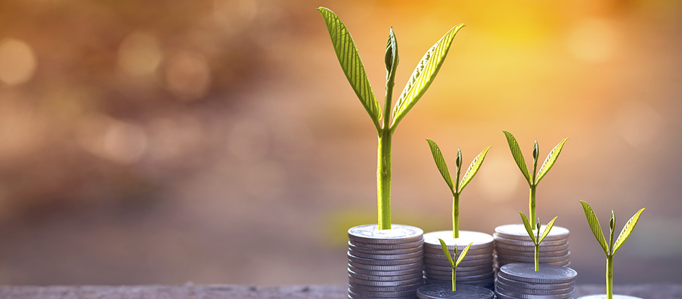 استخدام المال لتحقيق الربح